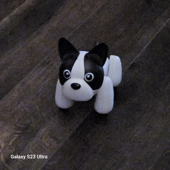 Duke voice activated dog - Picture 3 of 3